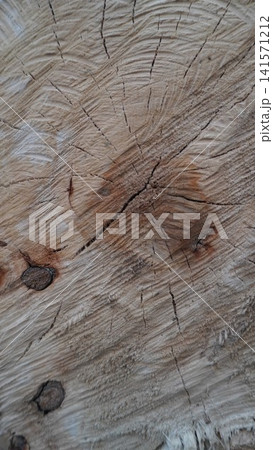Macro of weathered wooden surface showing cross-section cut and circular growth rings, tree rings concept. 141571212