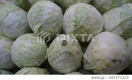 Close-up of fresh green cabbage heads arranged in a tight pile, showing layered leaf texture, produce concept. Close-up of fresh green cabbage heads arranged in a tight pile, showing layered leaf texture, produce concept. 141571223