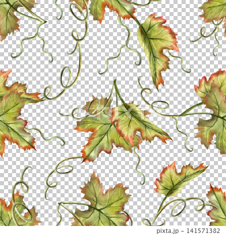 Grapes vine watercolor seamless pattern. Green leaves repeat ornament. Hand painted Illustration isolated on white background. For kitchen textile, packaging design, print for curtains and tableware Grapes vine watercolor seamless pattern. Green leaves repeat ornament. Hand painted Illustration isolated on white background. For kitchen textile, packaging design, print for curtains and tableware 141571382
