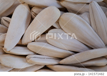 long white sunflower seeds with salt long white sunflower seeds with salt 141571482
