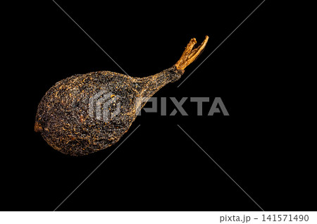 one pea bourbon pepper with a tail 141571490