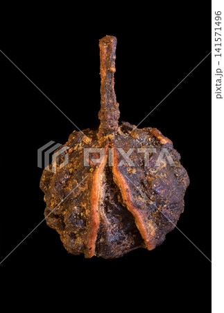 timut pepper large isolated on black background timut pepper large isolated on black background 141571496