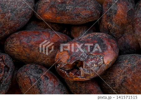 aromatish and bitter cocoa beans from Africa aromatish and bitter cocoa beans from Africa 141571515