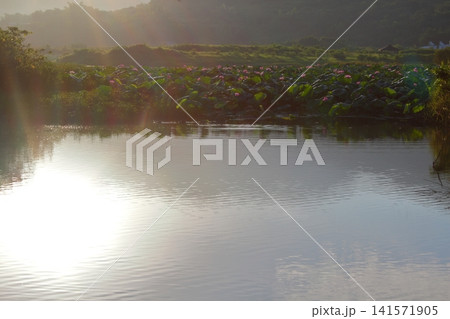 景色 風景 自然 141571905