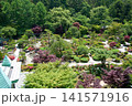 緑豊かな日本庭園の美しい風景 141571916