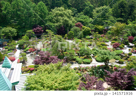 緑豊かな日本庭園の美しい風景 141571916