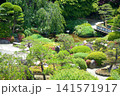 緑豊かな日本庭園、池と橋 141571917