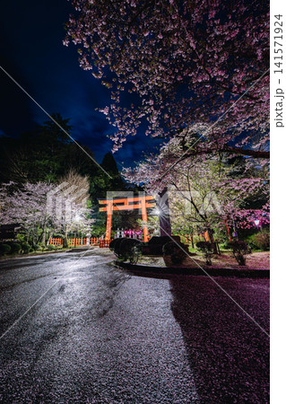 香取神宮の朱塗の大鳥居と夜桜ライトアップ 141571924