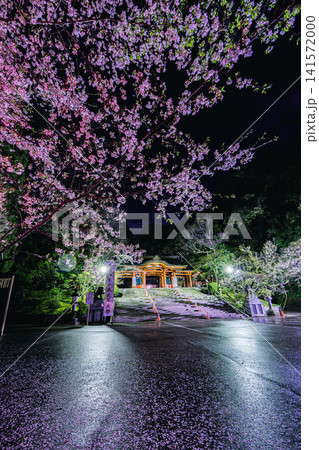香取神宮の総門と夜桜ライトアップ 香取神宮の総門と夜桜ライトアップ 141572000