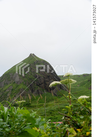 桃岩展望台から望む礼文島の象徴・桃岩の風景 桃岩展望台から望む礼文島の象徴・桃岩の風景 141573027