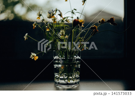 Moody bouquet of wildflowers in a glass vase on a windowsill. Atmospheric still life with soft natural light, botanical beauty, home floral decor. 141573033