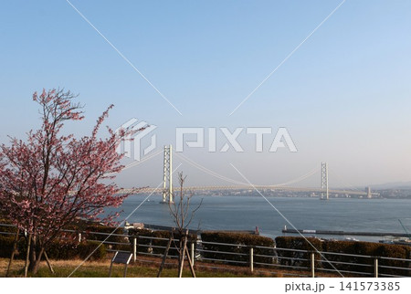 淡路SAから見た明石海峡大橋 兵庫県旅行 淡路SAから見た明石海峡大橋 兵庫県旅行 141573385