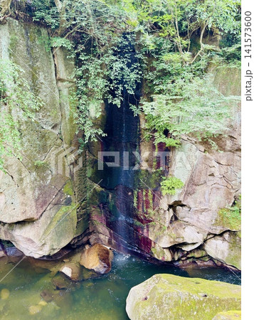磊々峡の岩壁を伝う小さな滝と苔 夏の宮城県秋保 磊々峡の岩壁を伝う小さな滝と苔 夏の宮城県秋保 141573600