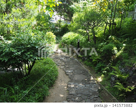 角川庭園 141573882