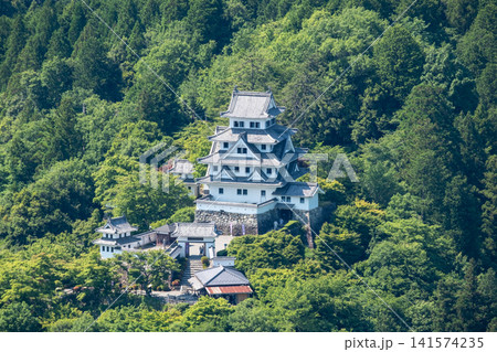 郡上八幡城 郡上八幡城 141574235