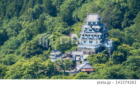 郡上八幡城 郡上八幡城 141574261