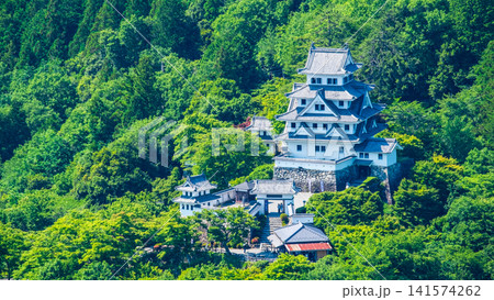 郡上八幡城 郡上八幡城 141574262