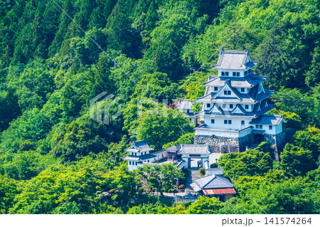 郡上八幡城 141574264