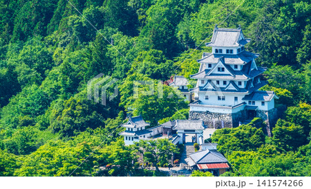 郡上八幡城 郡上八幡城 141574266