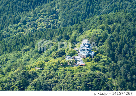 郡上八幡城 郡上八幡城 141574267