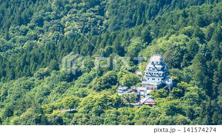郡上八幡城 郡上八幡城 141574274