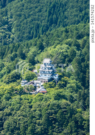 郡上八幡城 郡上八幡城 141574282