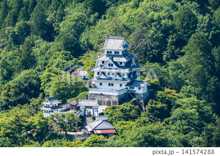 郡上八幡城 郡上八幡城 141574288