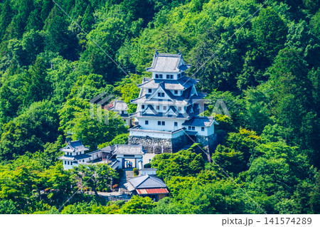 郡上八幡城 郡上八幡城 141574289