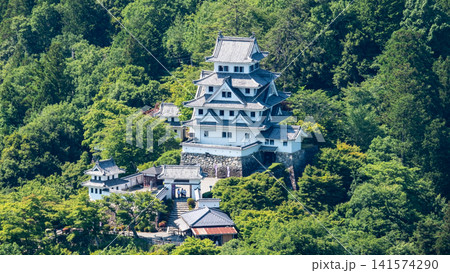 郡上八幡城 郡上八幡城 141574290