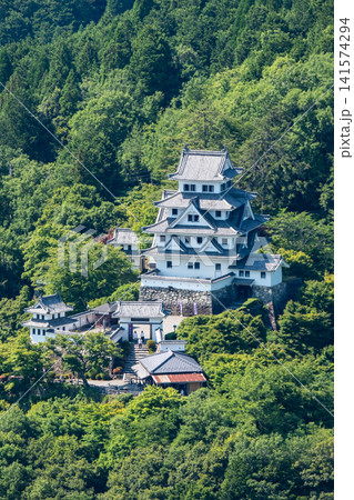 郡上八幡城 郡上八幡城 141574294