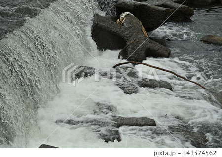 河川の氾濫・増水 溢水 越水 A river overflows 河川の氾濫・増水 溢水 越水 A river overflows 141574562