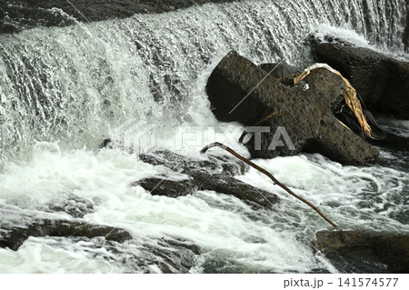 河川の氾濫・増水 溢水 越水 A river overflows 河川の氾濫・増水 溢水 越水 A river overflows 141574577