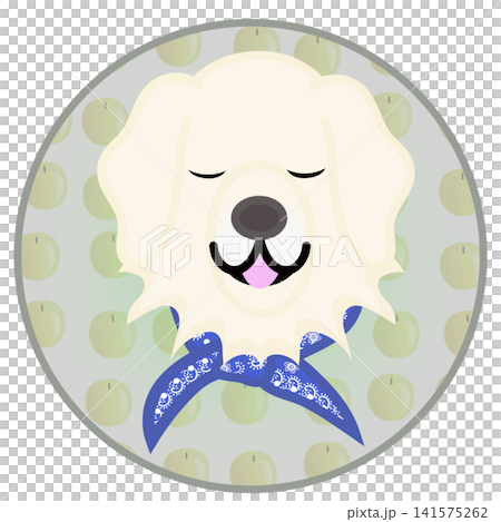 Golden Retriever face illustration with a circular background Golden Retriever face illustration with a circular background 141575262