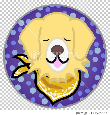 Golden Retriever face illustration with a circular background Golden Retriever face illustration with a circular background 141575563