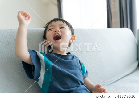 ソファに座る男の子 141575610
