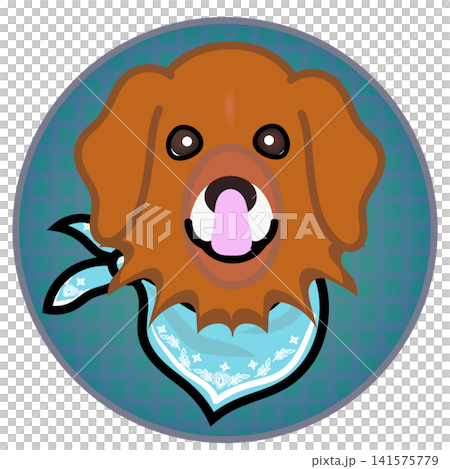 円形背景のついたゴールデンレトリバーの顔イラスト 円形背景のついたゴールデンレトリバーの顔イラスト 141575779