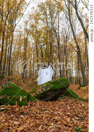 Ghost Costume with Glasses and Cap Standing in Autumn Forest 141576313