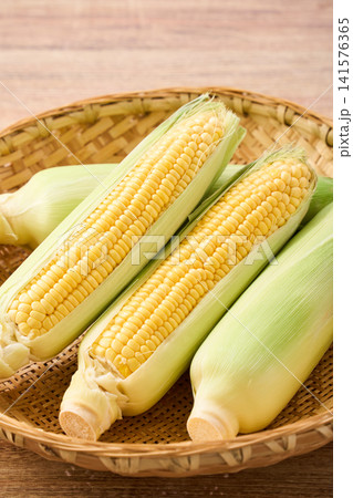 とうもろこし 竹ざるに盛った皮付きの生トウモロコシ とうもろこし 竹ざるに盛った皮付きの生トウモロコシ 141576365