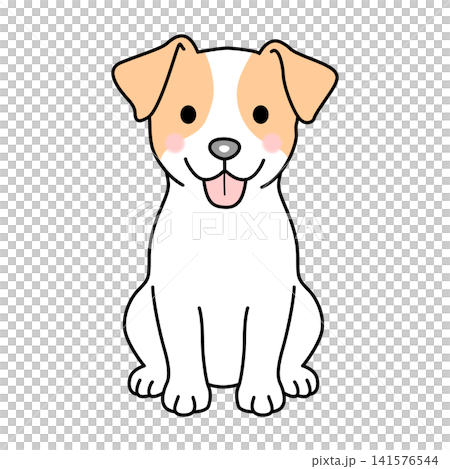 Vector illustration of a Jack Russell Terrier (smooth coat) (full body). 141576544
