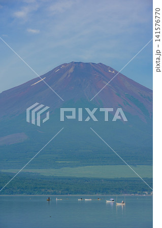 山中湖から望む夏の富士山 山中湖から望む夏の富士山 141576770