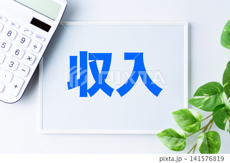 収入の文字のホワイトボード 収入の文字のホワイトボード 141576819