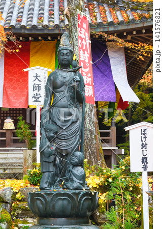 京都　今熊野観音寺　ぼけ封じ観音と美しい秋の紅葉（京都府京都市東山区） 141576821