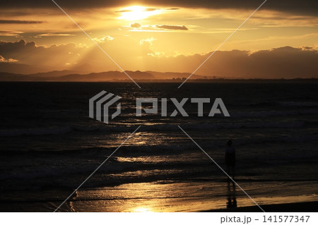 夕暮れの美しい海岸と後ろ姿 141577347