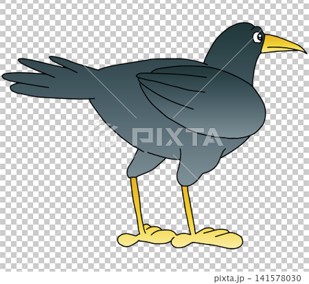 Hand-drawn animal illustration ☆ Crow Hand-drawn animal illustration ☆ Crow 141578030