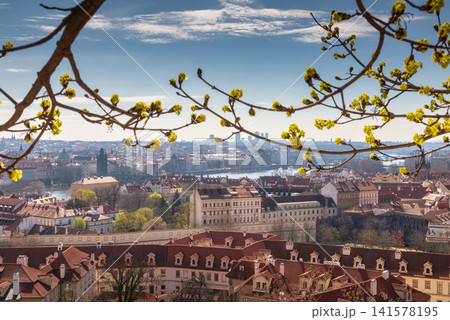 Spring Blossoms Framing Historic Prague Skyline Above Red Rooftops and Cityscape Spring Blossoms Framing Historic Prague Skyline Above Red Rooftops and Cityscape 141578195