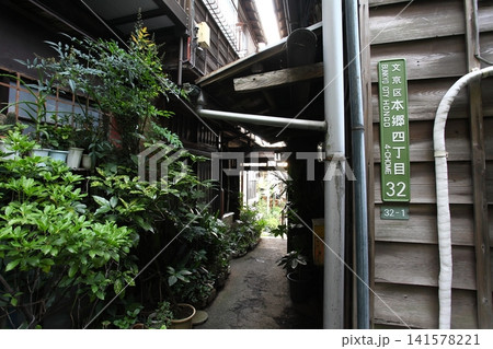 樋口一葉旧居跡近くの風情ある路地裏 樋口一葉旧居跡近くの風情ある路地裏 141578221