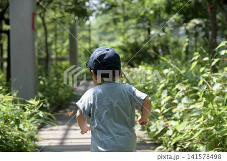 虫取りに張り切る男の子 虫取りに張り切る男の子 141578498