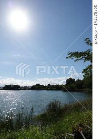 池田湖公園/Ikeda lake(長崎県大村市) 池田湖公園/Ikeda lake(長崎県大村市) 141578550