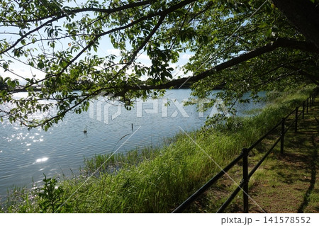 池田湖公園／Ikeda lake（長崎県大村市） 141578552