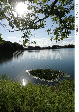 池田湖公園／Ikeda lake（長崎県大村市） 141578553